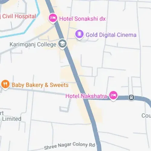 V979+CGX, Station Rd, Karimganj, Assam 788710, India